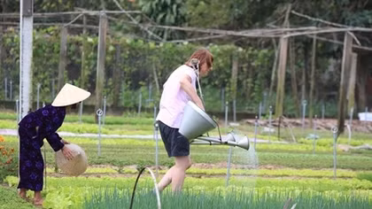 Hội An khai trương điểm tham quan, trải nghiệm làng rau Trà Quế 