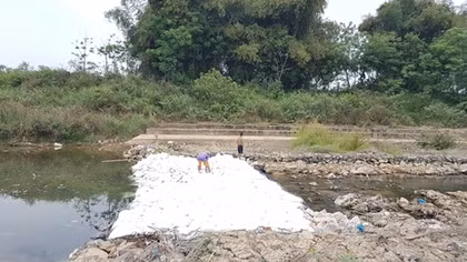 Đề nghị Quảng Nam đắp đập ngăn sông để đưa nước về chống mặn