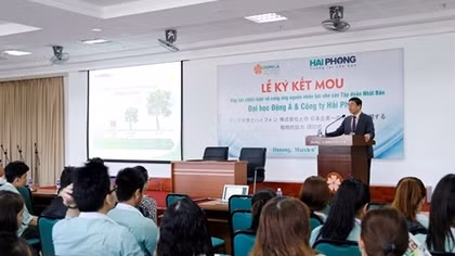 Thêm 300 sinh viên được hỗ trợ học tập, làm việc tại các tập đoàn kinh tế hàng đầu của Nhật 