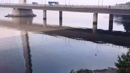 Làm rõ thủ phạm xả thải gây ô nhiễm sông Hàn 