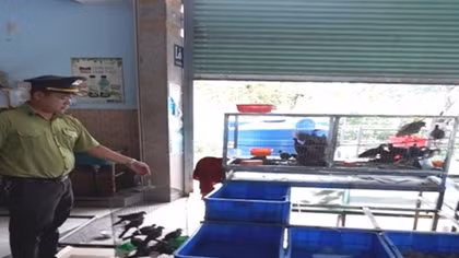 Giải cứu 36 cá thể chim hoang dã sắp bị xẻ thịt lên bàn nhậu 