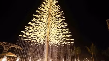 Ngắm cây thông Noel cao kỷ lục ở Đà Nẵng