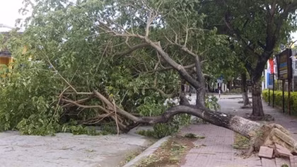 Bão số 4 suy yếu, thiệt hại không đáng kể