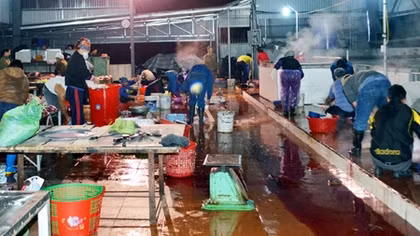 2 cơ sở giết mổ gia súc xả thải trực tiếp ra môi trường