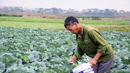 “Mỗi xã một sản phẩm-OCOP”, nâng cao hiệu quả kinh tế cho người dân Vĩnh Phúc