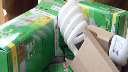 Thu giữ hơn 700 bóng đèn giả nhãn hiệu Rạng Đông