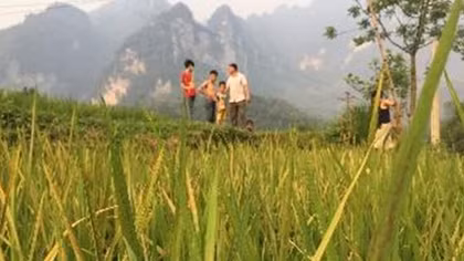 Nhà máy xả khói, lúa chết, người dân ngộp thở
