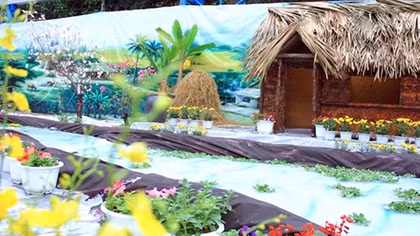 Rực rỡ sắc màu “Tết Việt 2017”