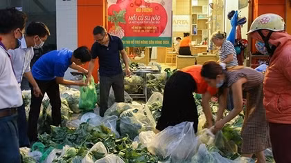 Học gì từ đại dịch?