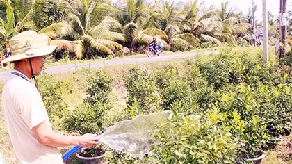 Công an huyện nỗ lực ngăn chặn nạn trộm cây giống, hoa kiểng