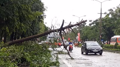 Bão số 2 không lớn nhưng rất bất thường
