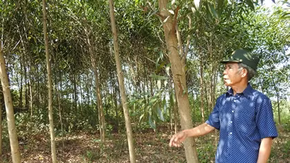 Trên những cung đường Trường Sơn huyền thoại - Bài 3