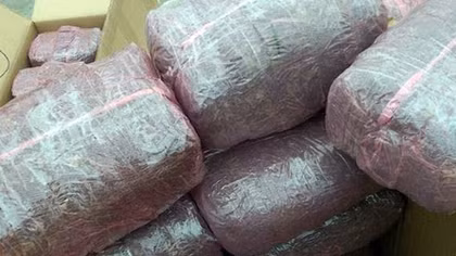 Lại phát hiện 2 lô hàng chứa hơn 110 kg nghi lá khát ở Nội Bài