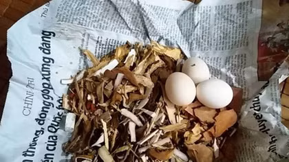 “Ma thuốc độc”: Lời đồn tai hại