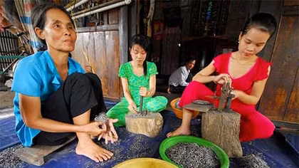 Vực dậy giáo dục, hướng nghiệp cho vùng đồng bằng sông Cửu Long