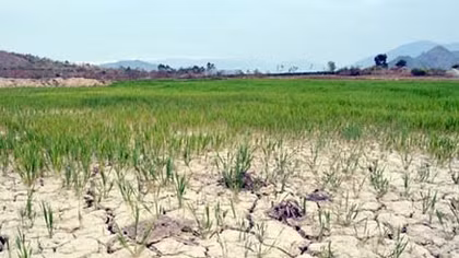Ngân hàng Thế giới hỗ trợ Việt Nam tăng cường khả năng ứng phó với biến đổi khí hậu