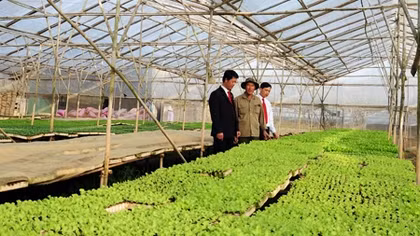 Agribank ưu tiên phát triển nông nghiệp xanh, sạch, an toàn, bền vững