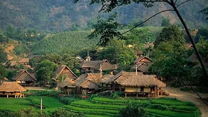 Mùa xuân ấy tôi rời núi…