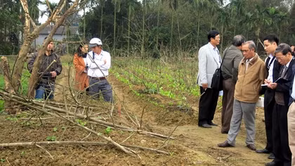 Xác định nơi nguyên táng đại thi hào Nguyễn Du để có biện pháp bảo tồn