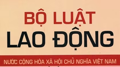 Công ty CP Vận tải ôtô Hàng không cần tuân thủ Luật Lao động