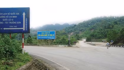 Hồi sinh kỳ diệu sau những tán rừng già