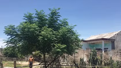 Xung quanh tranh cãi dừng hay khởi động dự án mỏ sắt Thạch Khê