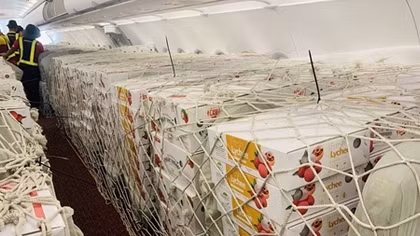 Vietnam Post dành trọn tải chuyến bay chuyển vải thiều xuất khẩu đến Nhật Bản