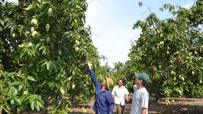 Đồng Tháp với cách mạng 4.0 trong nông nghiệp