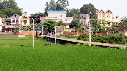 Các tỉnh Tây Nguyên đã có 95 xã và một huyện đạt chuẩn nông thôn mới