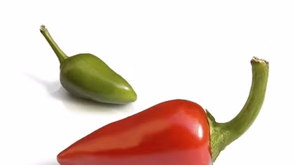Chuyện lạ thế giới