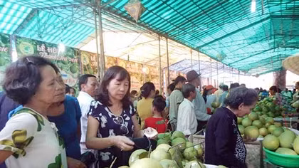 Khai mạc lễ hội đặc sản thanh trà Huế