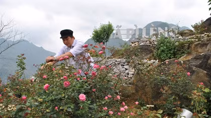 Những chàng trai giúp cao nguyên đá nở hoa