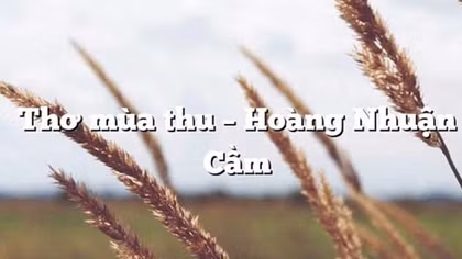 Mùa thu tôi yêu