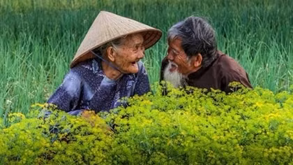 Tam truyền thất bổn