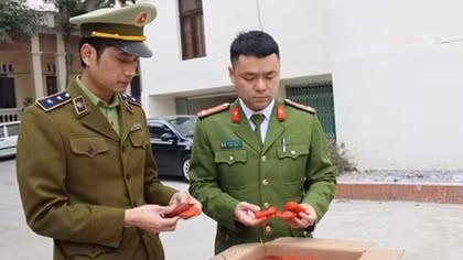 Tịch thu 1,2 tấn hồng sấy dẻo nhập lậu