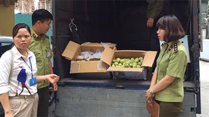 Thu 179 kg cá mực đông lạnh và 480 kg táo, lê không rõ nguồn gốc