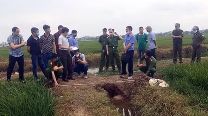 Cảnh báo nguy hiểm khi sử dụng bẫy điện diệt chuột tại Hải Dương