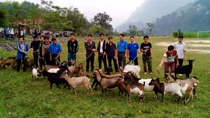 Đoàn Thanh niên Bộ Công an hoạt động thiện nguyện tại Hà Giang