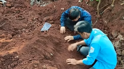 Bình Phước quy tập thêm được 8 hài cốt liệt sĩ
