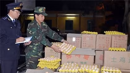 Tiêu hủy 700 kg hải sản và 12.000 quả trứng gia cầm nhập lậu