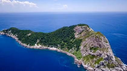 Ilha da Queimada Grande: Hòn đảo nguy hiểm nhất thế giới