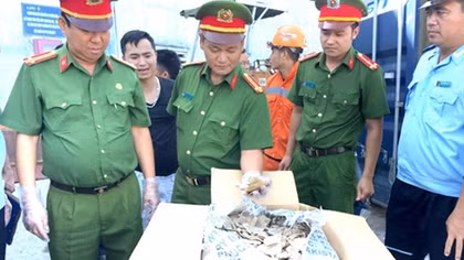 Người thủ lĩnh của lực lượng Cảnh sát điều tra đất Cảng