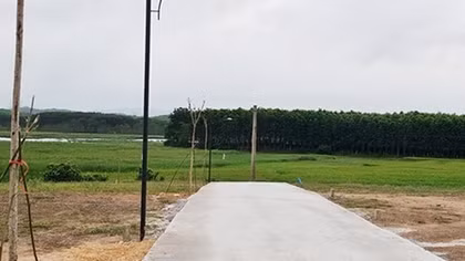 Xử lý nghiêm vụ phân lô, bán nền đất trồng cây lâu năm