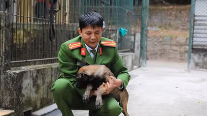 Những người thầy tận tâm với nghề chăm Cảnh khuyển