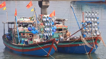 Triển khai nhiều giải pháp chống khai thác hải sản bất hợp pháp