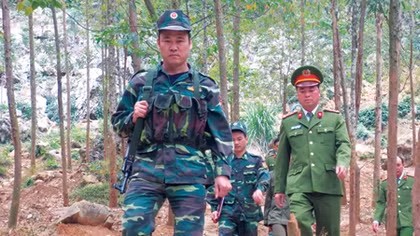 Đường tuần tra trong sắc xuân