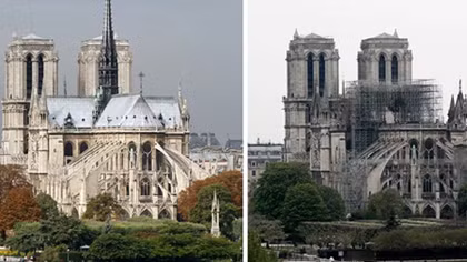 Những cây sồi "hoàng gia" với sứ mệnh Notre Dame