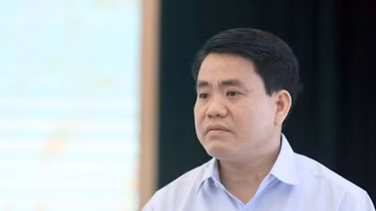 Chủ tịch Hà Nội: “Không thể trồng xà cừ cổ thụ trên các tuyến phố”