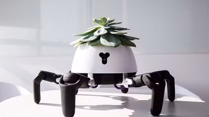 Bulbasaur: Robot chăm sóc cây