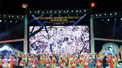 Lễ hội Hoa Anh đào – Mai vàng Yên Tử, Hạ Long 2017